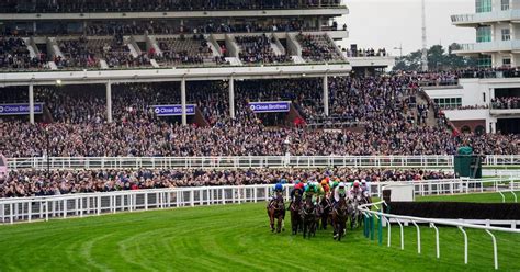 cheltenham going report|newbury racecourse going update.